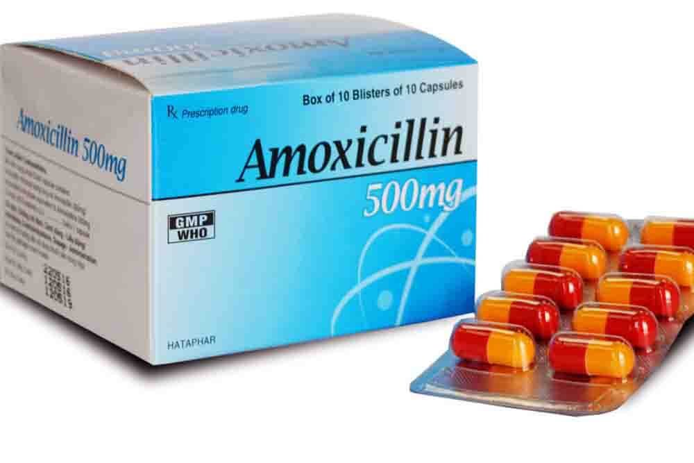Amoxicillin Without Vet Prescription