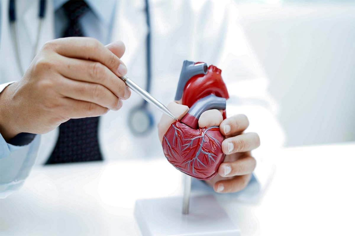 Connection between migraines and heart palpitations