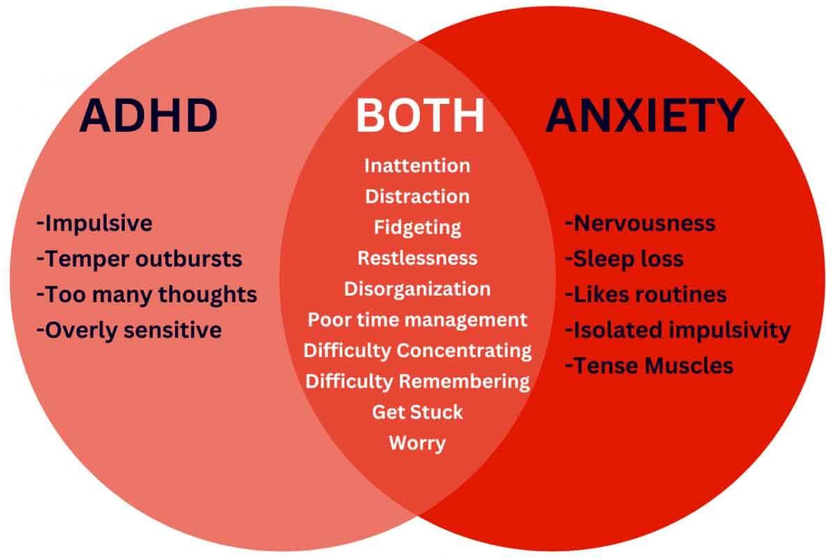 ADHD vs Anxiety Difference: How to Tell Them Apart